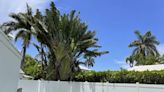 Fenced in! Palm Beach design panel OKs renovations as homeowners face thousands in fines