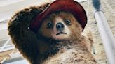 ‘Paddington’ Stage Musical In The Works