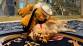 Watch this sweet moment between Pluto and his biggest fan: a golden retriever service dog