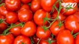 番茄功效防癌、助眠、護心！吃膩番茄炒蛋？專家推2番茄料理 營養加倍