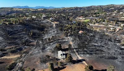 Greece tackles last of wildfire near Athens, assesses damage