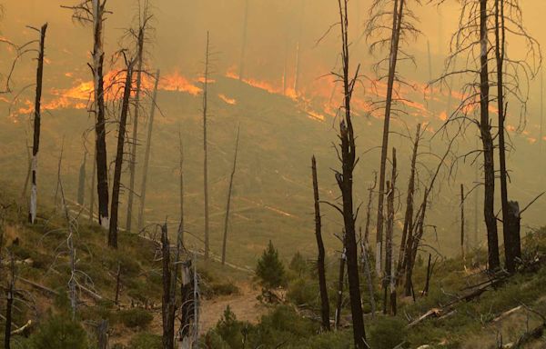 'Megafire' Growing in Oregon as Multiple Wildfires Continue Throughout the State