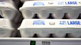 No end in sight for bird flu outbreak causing sky-high egg prices