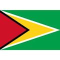 Équipe du Guyana de football