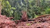 Tremores de terra em Caxias do Sul (RS) foram causados por acomodação do solo, diz prefeito