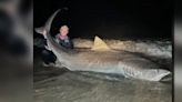 Fisherman unexpectedly reels in 12-foot tiger shark while fishing in Atlantic Ocean