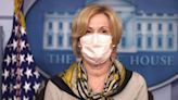 Deborah Birx Says She Was ‘Paralyzed’ By Trump’s Disinfectant Claim