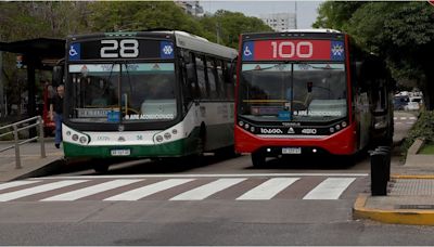 Paro de colectivos: la UTA anunció medidas de fuerza por falta de pago de salarios