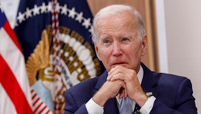 House Democrats circulate letter to delay Biden nomination until convention: report