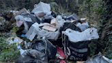 Huge pile of Christmas Evri packages dumped in woods sees 'parcel thief' arrested