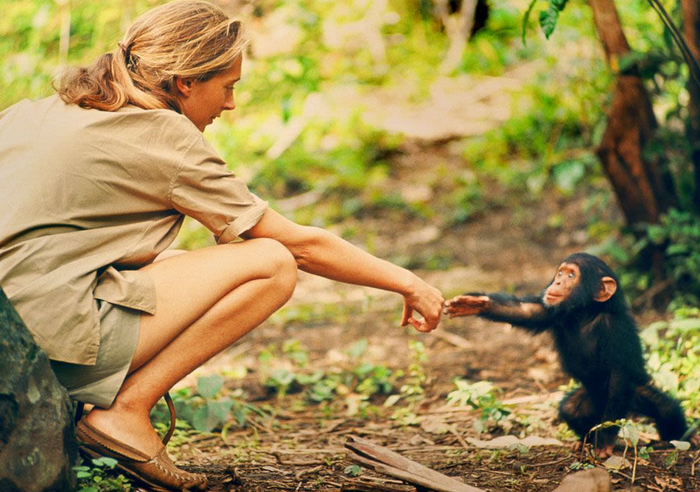 Leonardo DiCaprio Teams With Jane Goodall to Produce Her First Movie