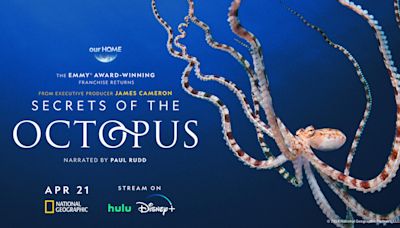 Brokaw: James Cameron talks about ‘Secrets of the Octopus’ on Nat Geo