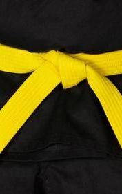 Yellow Belt