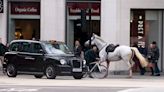 London police contain 2 horses loose in the city. Several more believed to be on the run too