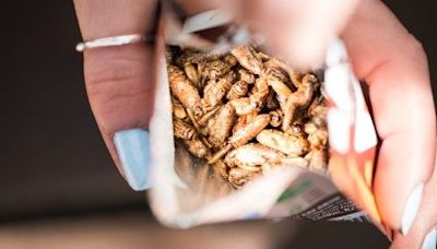 “The timing for edible insects could not be better” – Eat Grub co-founder Shami Radia, the bitesize interview