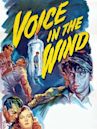 Voice in the Wind