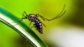 Zika Virus: Infection tally jumps to 12; Another pregnant woman tests positive—Here’s what you need to know