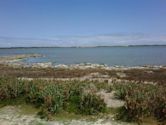 Coorong National Park