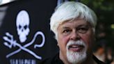 Sea Shepherd : Malgré son arrestation, Paul Watson ne regrette pas son combat contre la chasse à la baleine