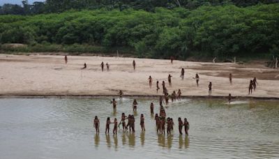 Rare video of uncontacted tribe shows members emerging from Amazon rainforest amid 'humanitarian disaster'