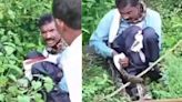 Watch: 15-foot-long Python Tries To Swallow Man Alive In MP, Villagers Save Him - News18