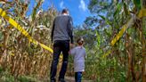 5 great corn mazes to check out in and around RI, with s'mores, trivia and spooky fun