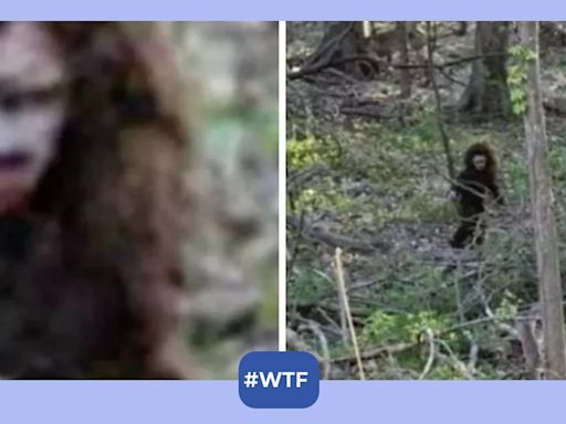 Wild footage purportedly shows 'baby Bigfoot' walking through the woods - watch!