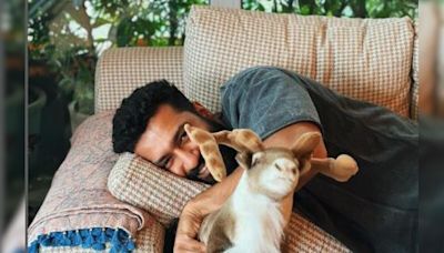 No Points For Guessing Who Captured Vicky Kaushal's "Lazy Sunday" Mood