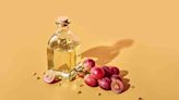 Everything You Need to Know About Grapeseed Oil, the Hero Ingredient for Dry Skin