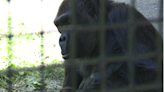 One of CLE Zoo’s oldest animals celebrates milestone birthday