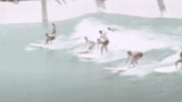 RIP: Big Surf, America's First Wavepool
