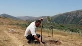 Lebanese farmers dig for answers on Israel's white phosphorus use