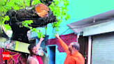 Bareilly authorities resolve long-standing issue by cutting peepal tree branch obstructing Tazia procession route | Meerut News - Times of India