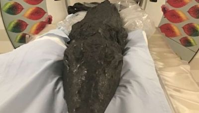 Descubrieron la letal última comida de un cocodrilo del Antiguo Egipto