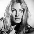 Sharon Tate