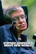 Stephen Hawking's Brave New World
