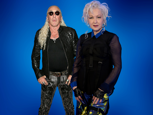 Dee Snider's Cyndi Lauper remark takes off online