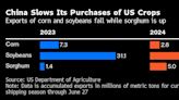 China Buys First US Soy for 2024 Crop — About Seven Months Late