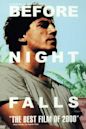 Before Night Falls (film)