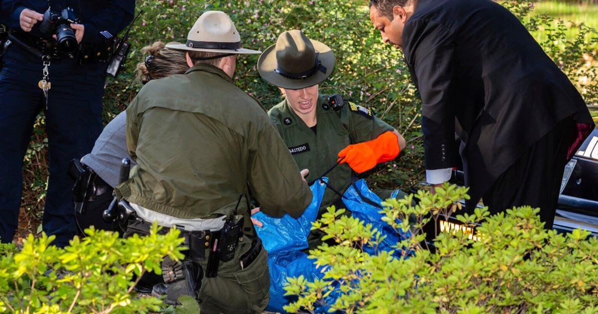 Robert F. Kennedy Jr. says he left a dead bear in Central Park as a prank