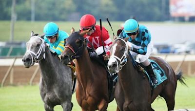 It's time for horse racing season at Ellis Park. Here are 5 things to know.