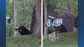‘This isn’t Yogi Bear’: Oxford Police warn residents of black bear spotted in the area