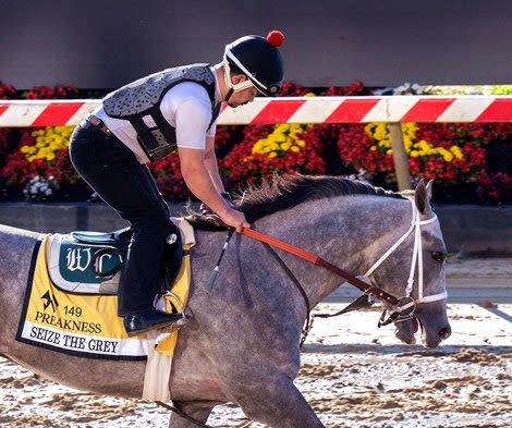 Seize the Grey Owners Revel in Preakness Experience