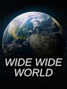 Wide Wide World