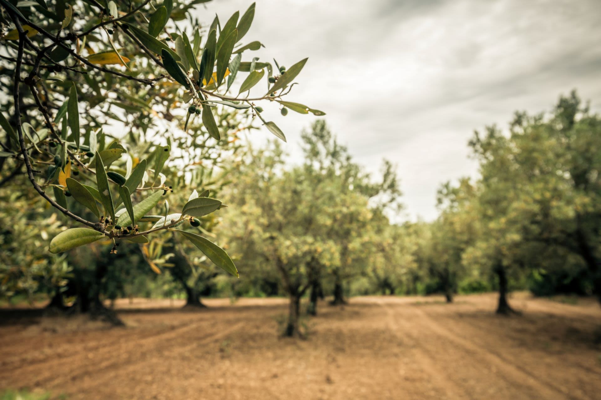 Government officials concerned after research uncovers cause of failing food production trend — here's what they found