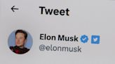 Elon Musk says Twitter has no 'actual choice' when complying with authoritarian government requests to restrict content