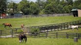 Old Friends Equine