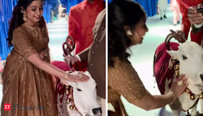 Shreya Ghoshal charms fans with ‘cutest prettiest gaiyyas’ video at Ambanis wedding - The Economic Times