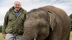 Attenborough and the Giant Elephant | Attenborough and the Giant ...