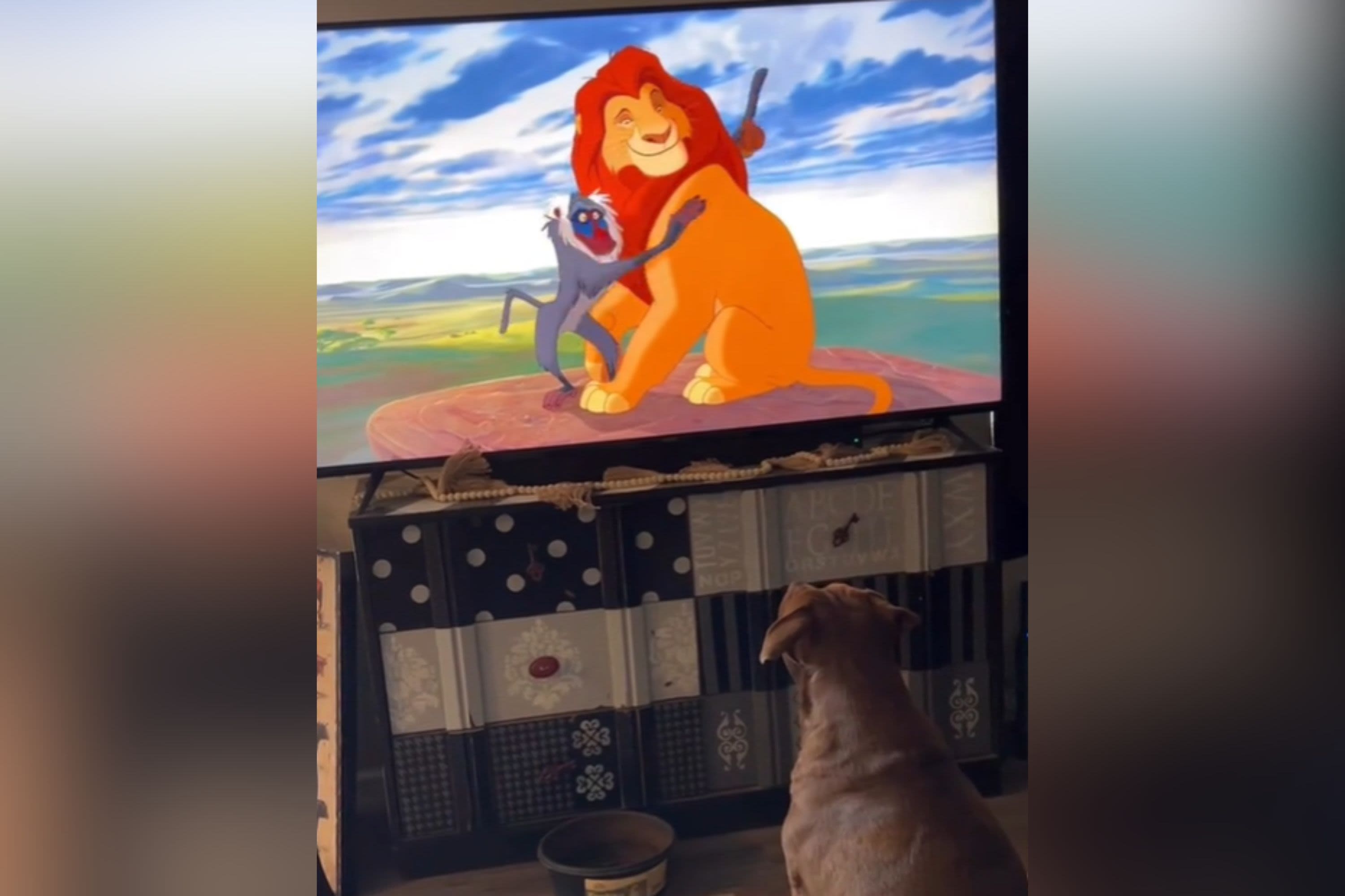 Dog's reaction when owner puts her favorite Disney movie on melts hearts